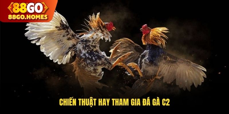 Chiến thuật hay tham gia đá gà C2 