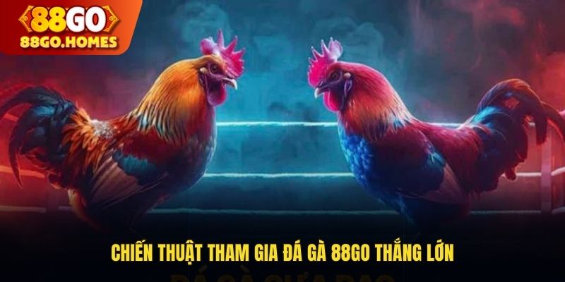 Chiến thuật tham gia đá gà 88GO thắng lớn