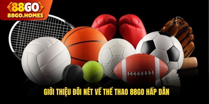 Giới thiệu đôi nét về thể thao 88GO hấp dẫn