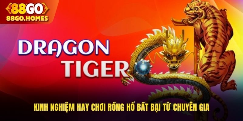 Kinh nghiệm hay chơi Rồng Hổ bất bại từ chuyên gia