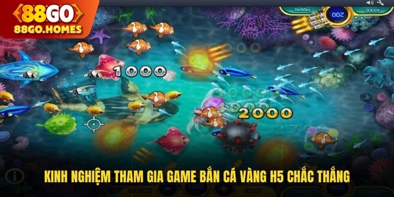 Kinh nghiệm chơi bắn cá vàng H5 chắc thắng