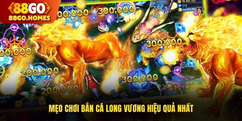 Mẹo chơi bắn cá Long Vương hiệu quả nhất