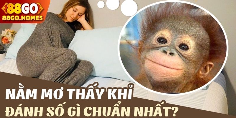 Nằm mơ thấy khỉ đánh số gì khi bị tấn công