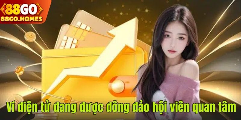 Ví điện tử rất được ưa chuộng