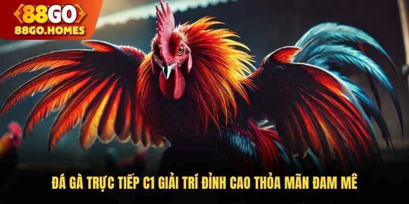 Đá Gà Trực Tiếp C1 Giải Trí Đỉnh Cao Thỏa Mãn Niềm Đam Mê